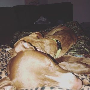 Meet your Posher, Tristian-jayce